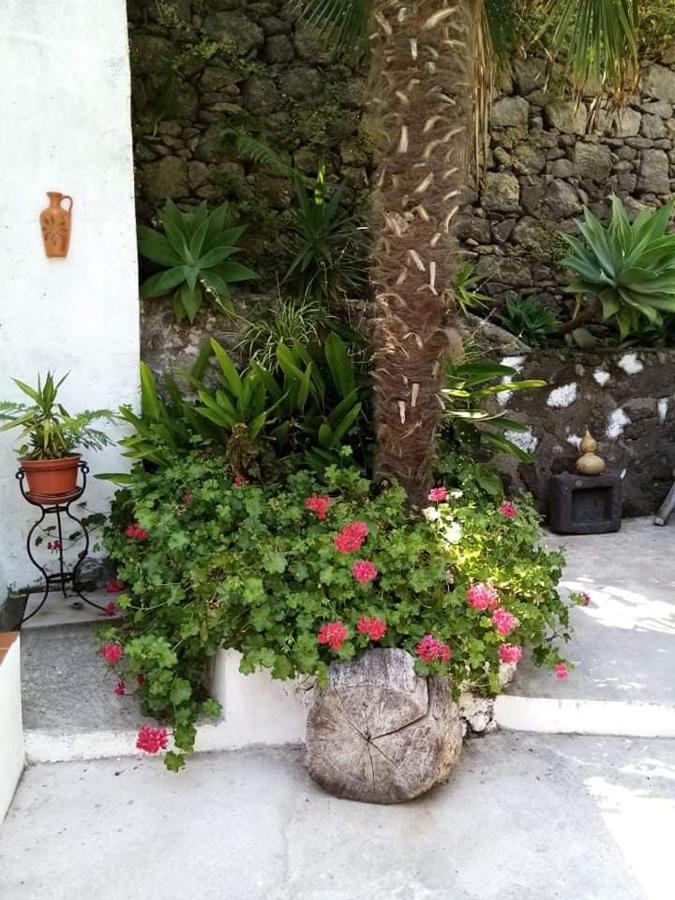 Ribeira Da Praia House Вила Франка до Кампо Екстериор снимка