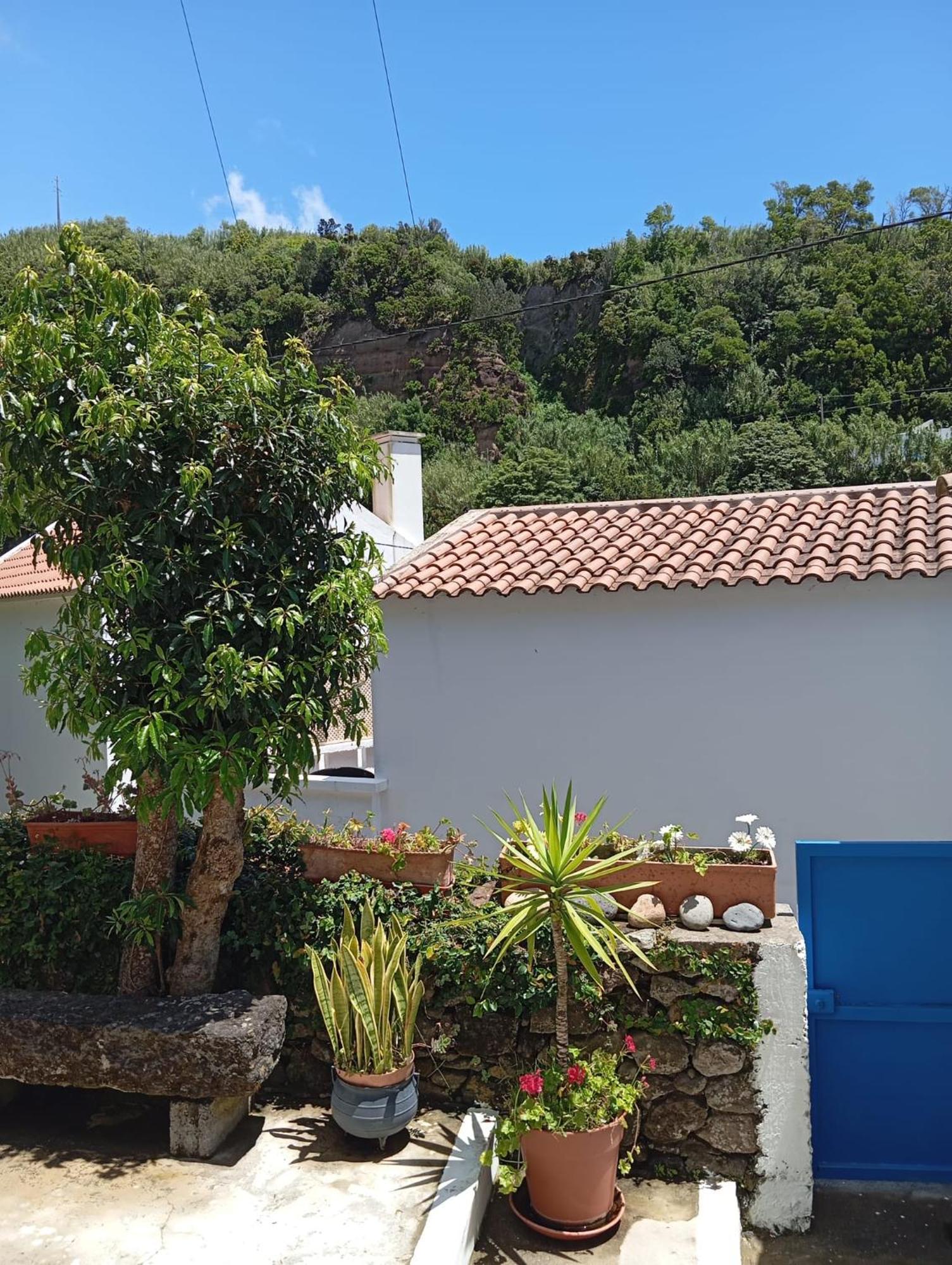 Ribeira Da Praia House Вила Франка до Кампо Екстериор снимка